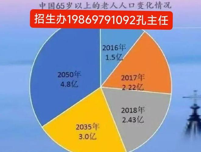 技术经济开发区虚拟镇人事任命动态深度解析