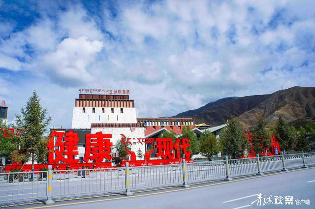 玉树藏族自治州市林业局新项目，生态恢复与可持续发展路径探索