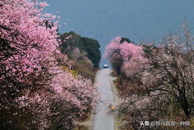 尼池村新项目，乡村振兴的新引擎