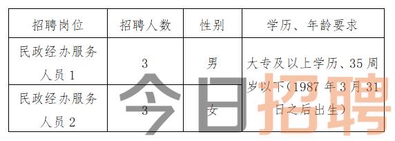 黄骅市民政局最新招聘概览