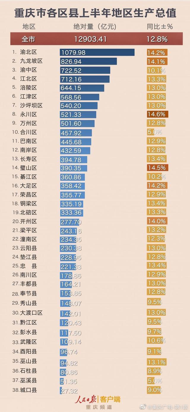 重庆市统计局最新发展规划，探索未来，助力城市繁荣