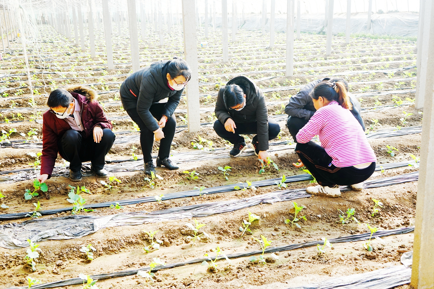 新沂市农业农村局推动农业高质量发展，乡村振兴再添新动力