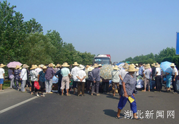 海安县农场最新交通动态速递