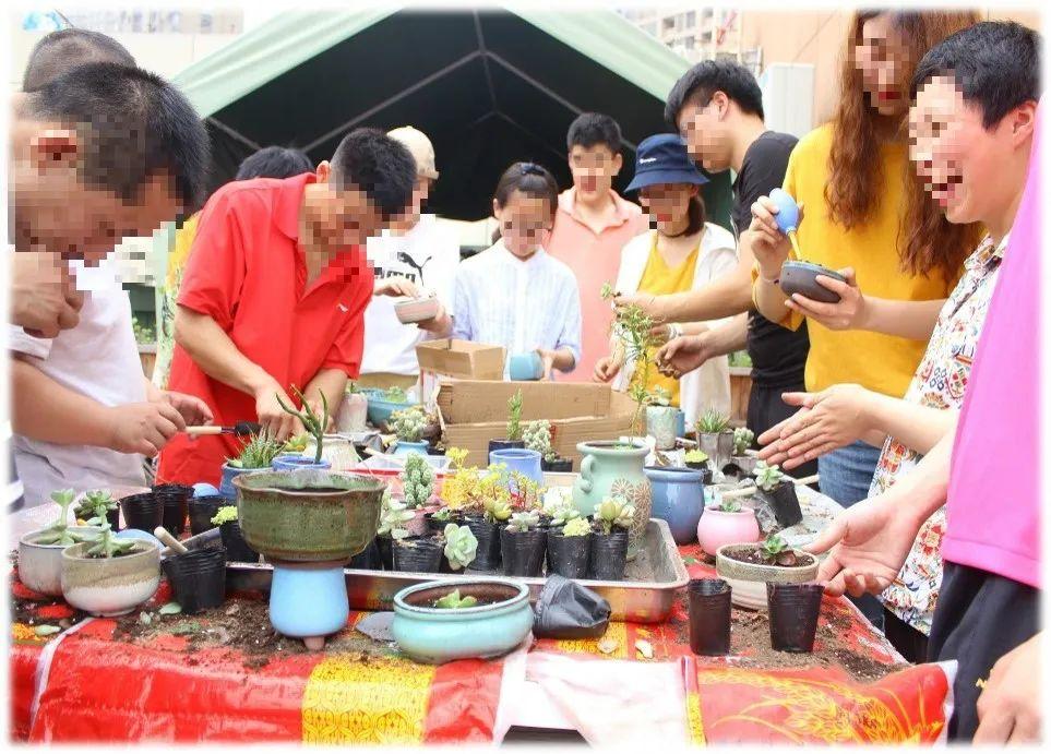 雨花区级托养福利事业单位人事任命揭晓，影响与展望